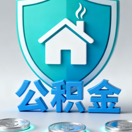 万宁公积金代办行业观察：谁在提供专业服务？
